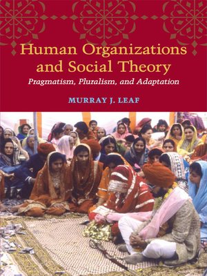 cover image of Human Organizations and Social Theory
